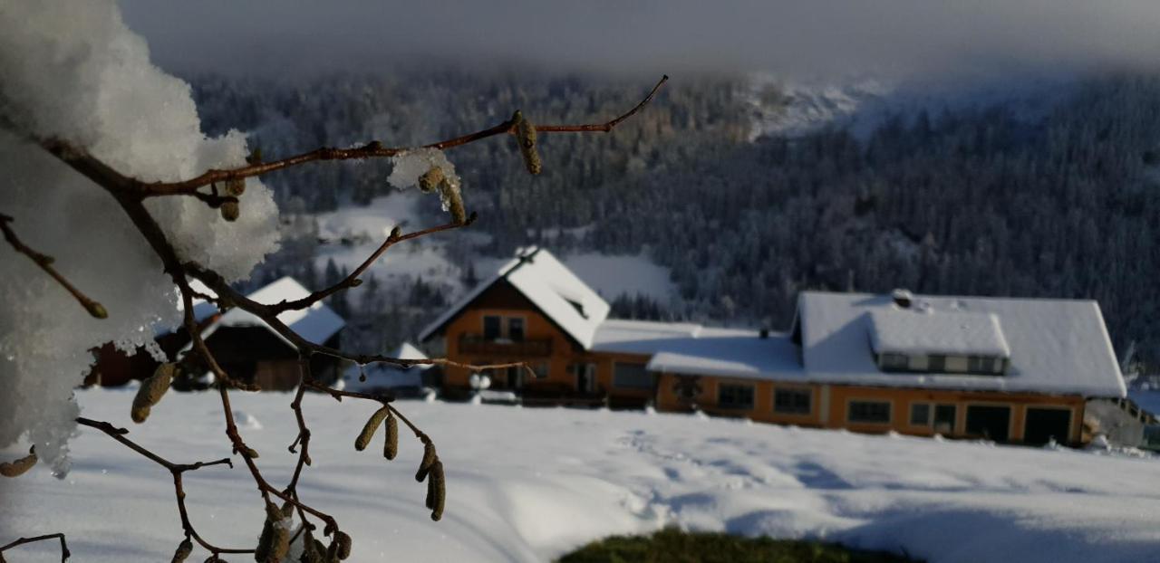 Gasthof-Pension Stieber Kleinsolk Kültér fotó